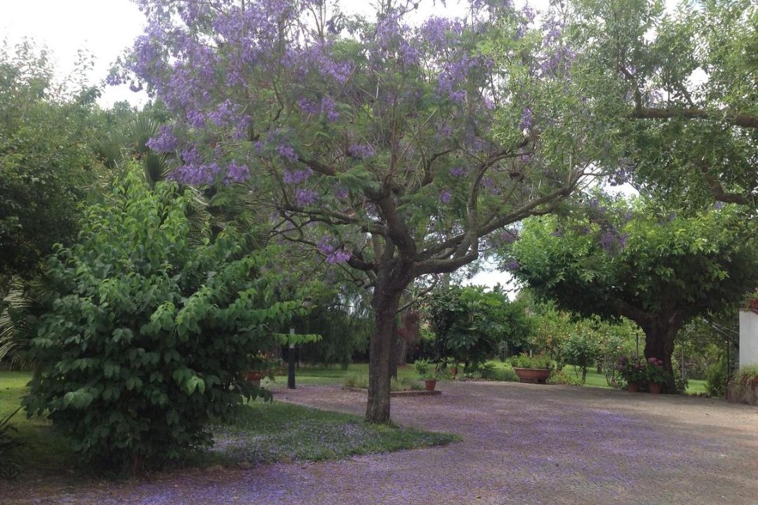 Photo of Outdoor in Altavilla Silentina