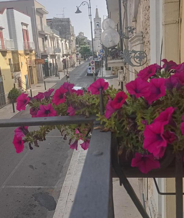 Photo of Others in Santeramo in Colle