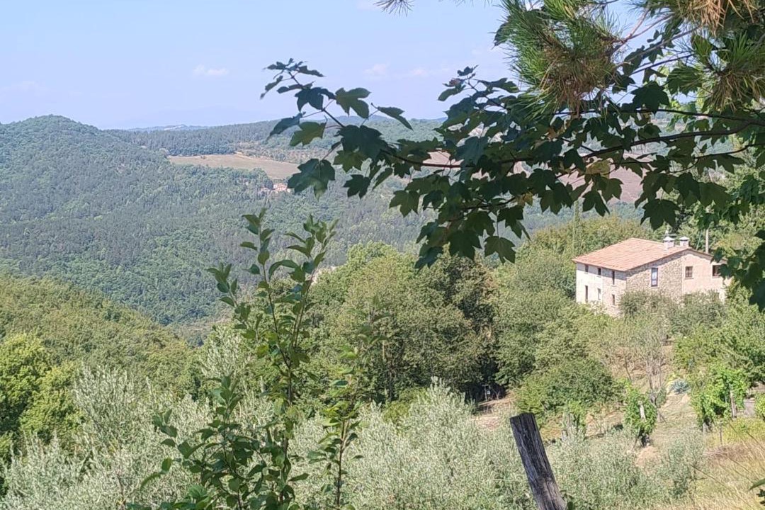 Photo of Others in Nerbisci