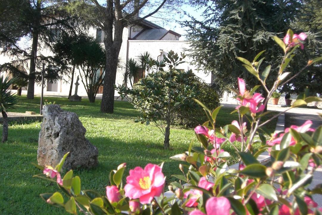 Photo of Others in Noci