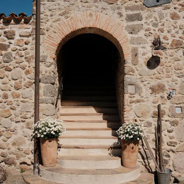 Photo of Others in Tolfa