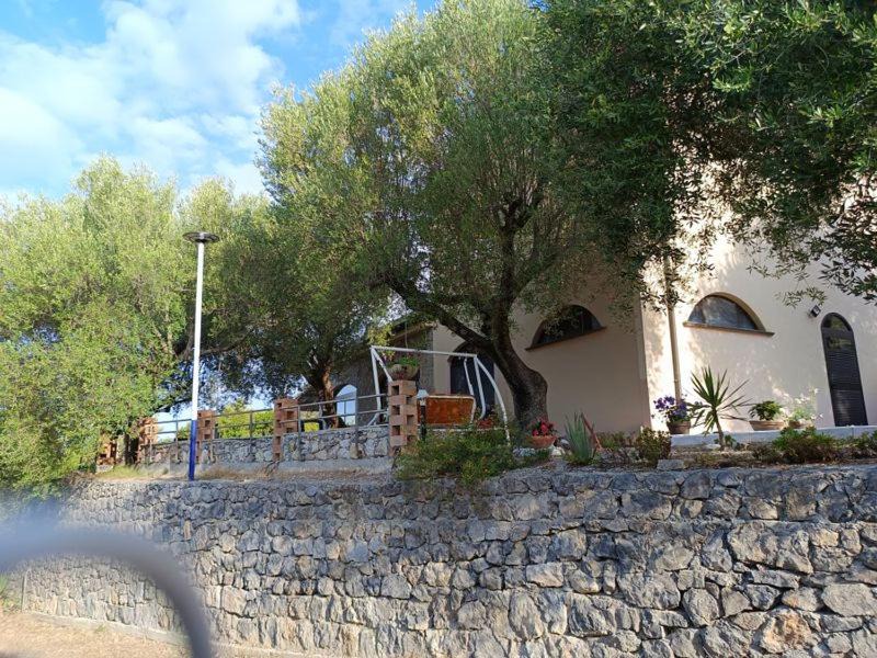 Photo of Others in Lentiscosa