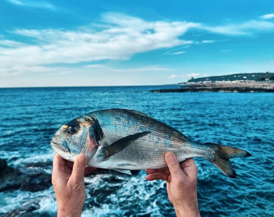 Photo of Others in Santa Maria al Bagno