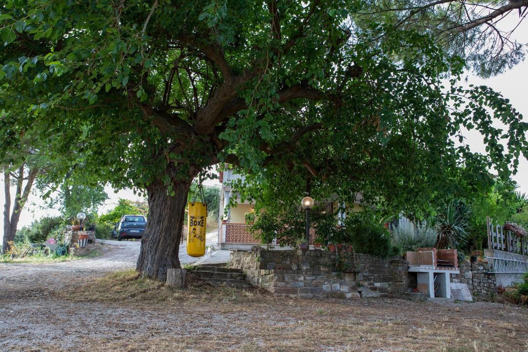 Photo of Others in Capaccio Scalo