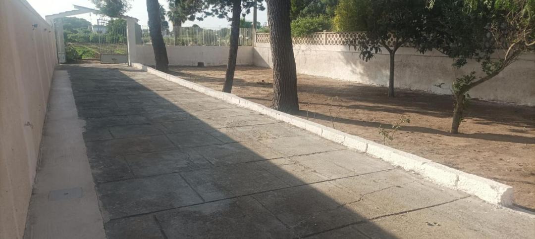 Photo of Others in Torricella