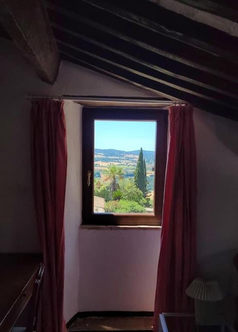 Photo of Others in Saturnia