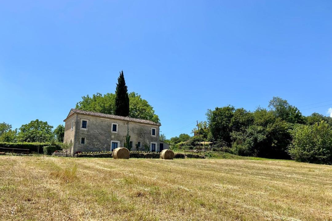 Photo of Others in Roselli
