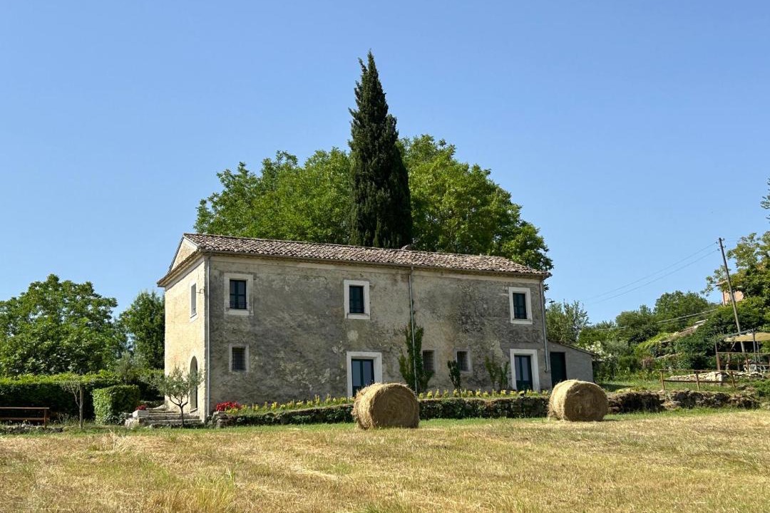 Photo of Others in Roselli