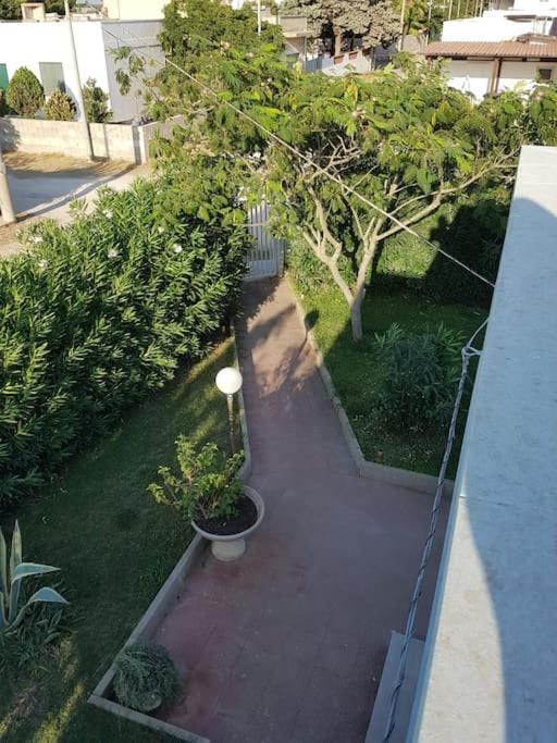 Photo of Others in Torre Colimena