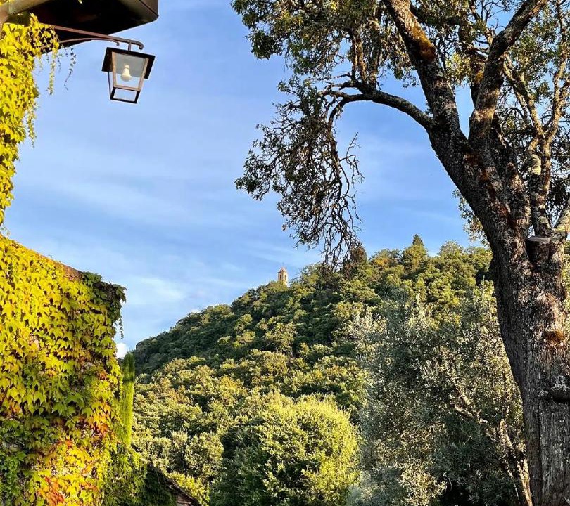 Photo of Others in Montefollonico