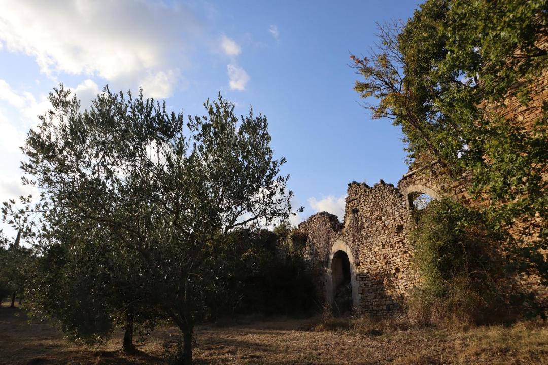 Photo of Others in Montefollonico
