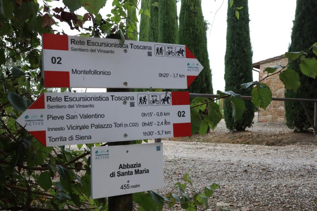 Photo of Others in Montefollonico
