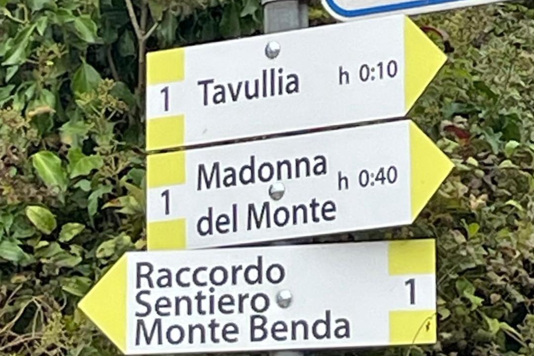 Photo of Others in Tavullia