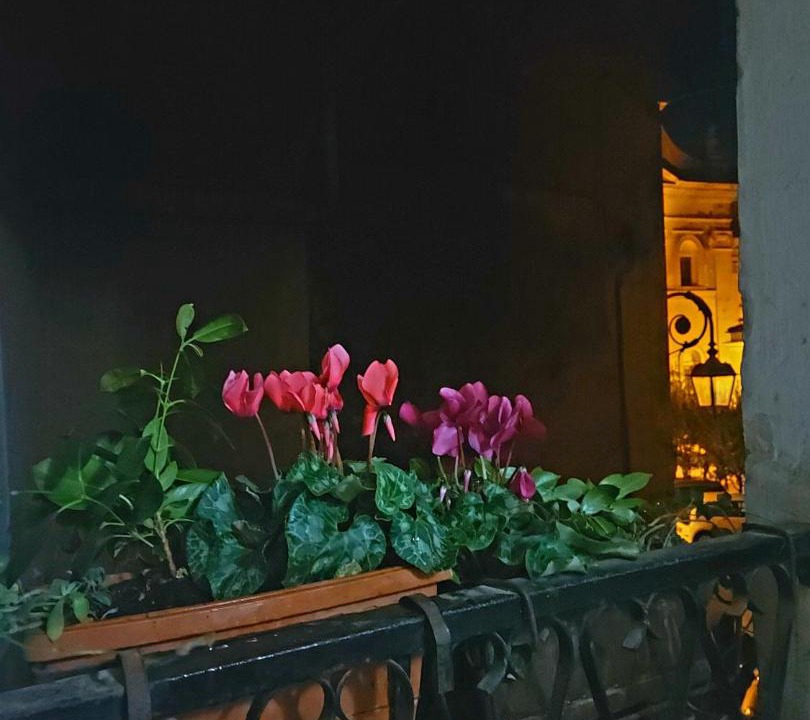 Photo of Others in Anagni