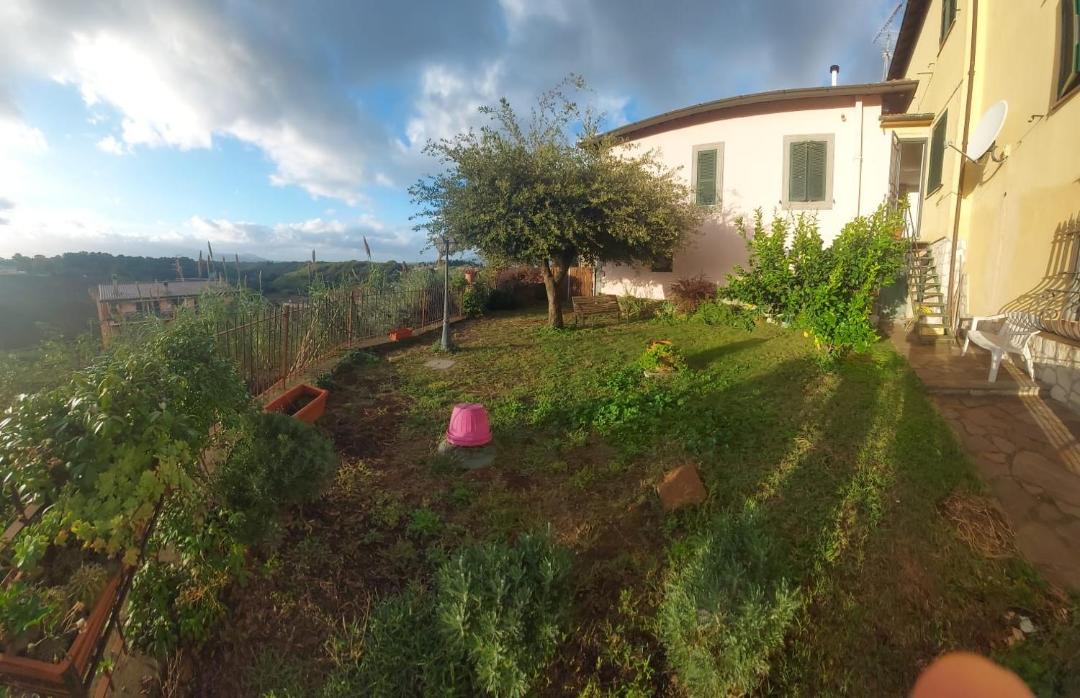 Photo of Others in Palestrina
