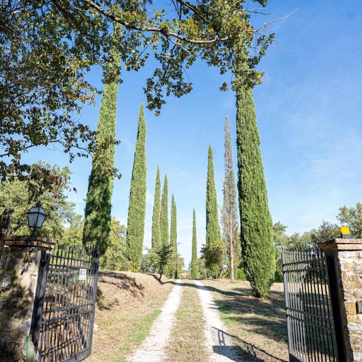 Photo of Others in Scansano