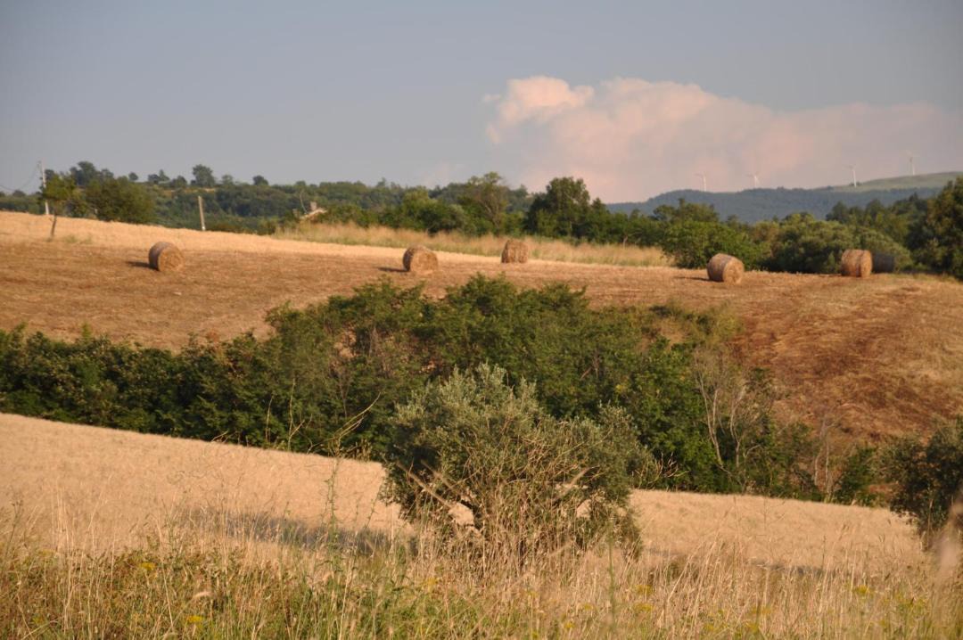 Photo of Others in Ripabottoni