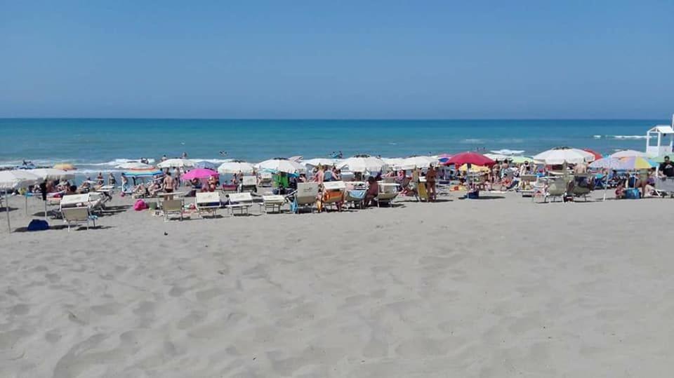 Photo of Others in Pomezia