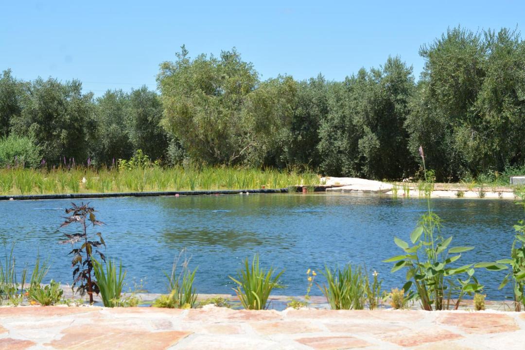 Photo of Others in Carpino