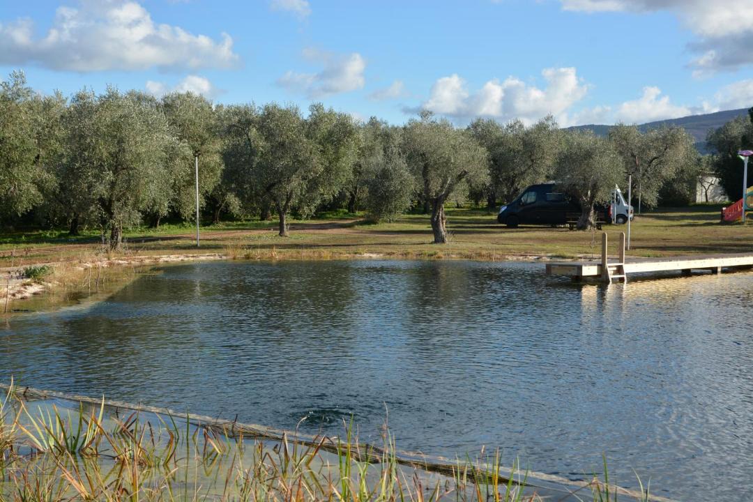 Photo of Others in Carpino