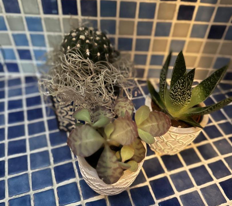 Photo of Bathroom in Raiano