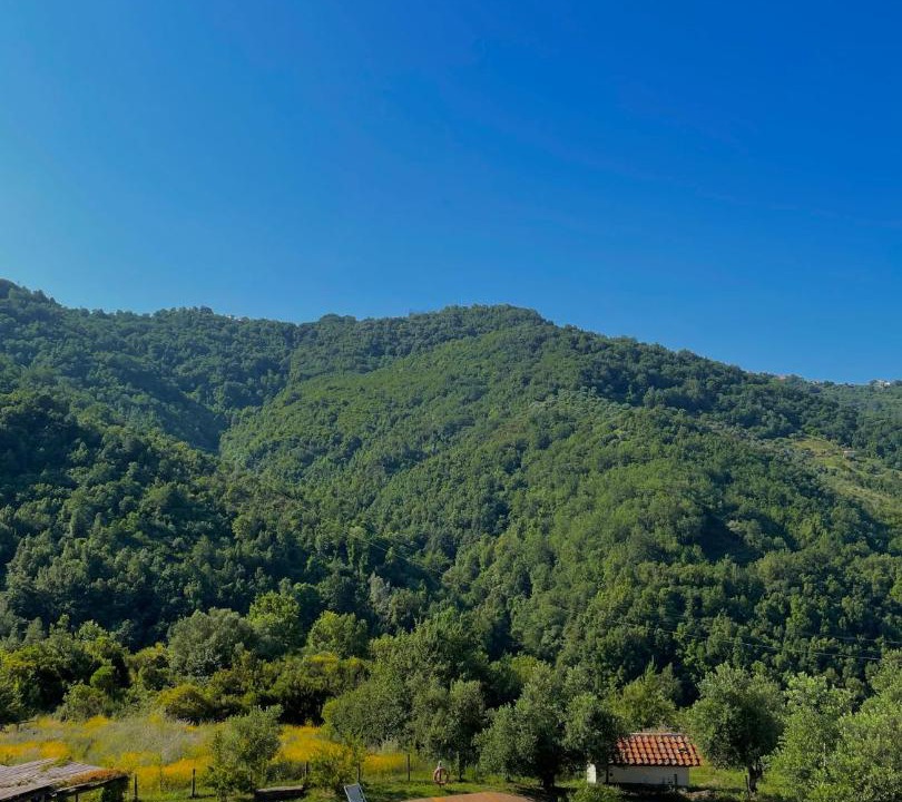 Photo of Others in Ostigliano