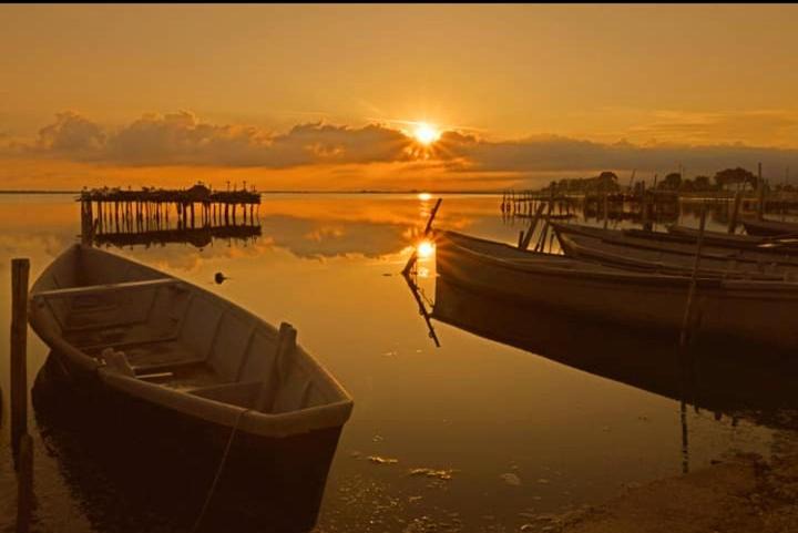 Photo of Others in Lesina