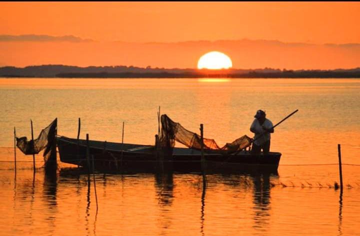 Photo of Others in Lesina