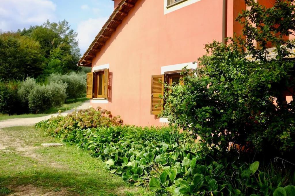 Photo of Others in Poggio