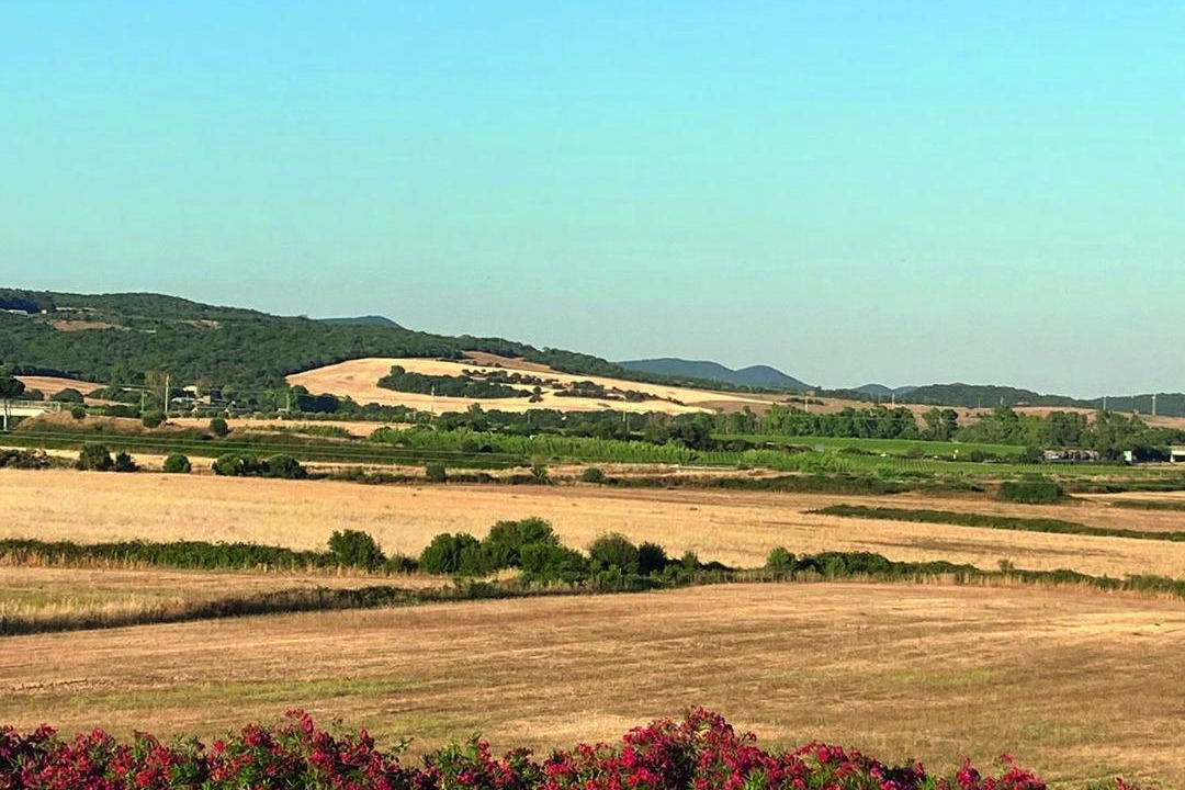Photo of Others in Tolfa