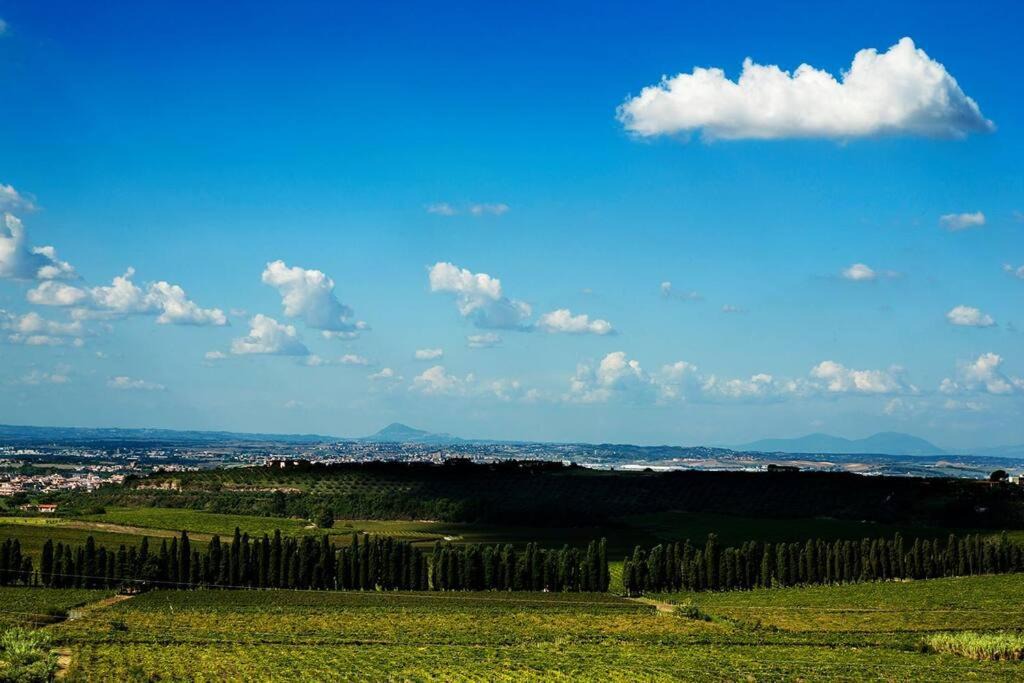 Photo of Others in Frascati