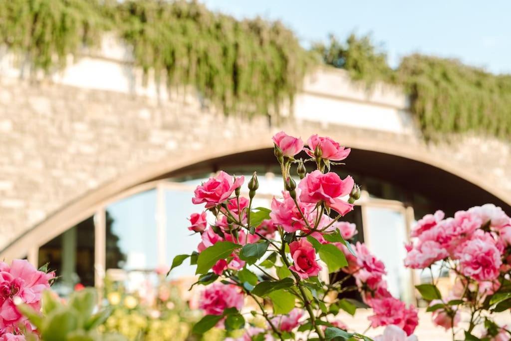 Photo of Others in Frascati