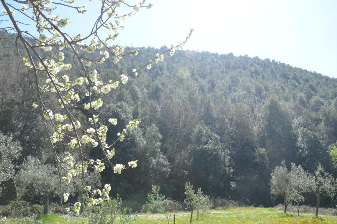 Photo of Others in Poggio Mirteto
