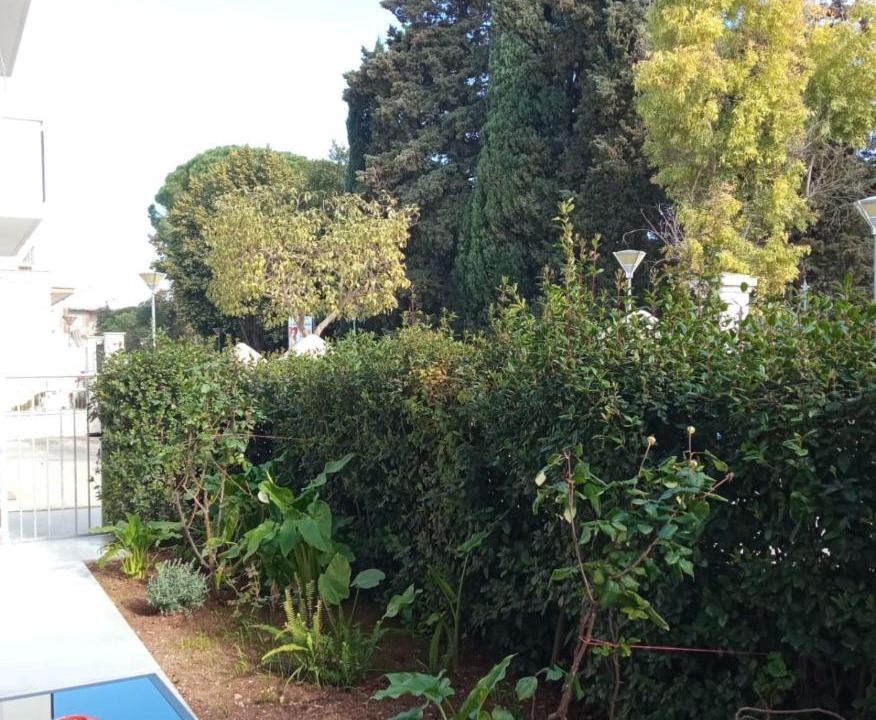 Photo of Others in San Vito dei Normanni