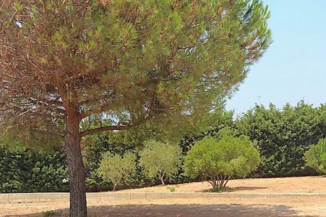 Photo of Outdoor in Lido Marini