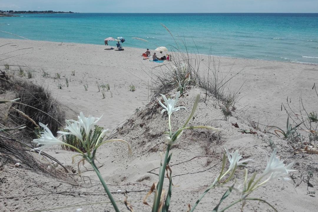 Photo of Others in Torricella