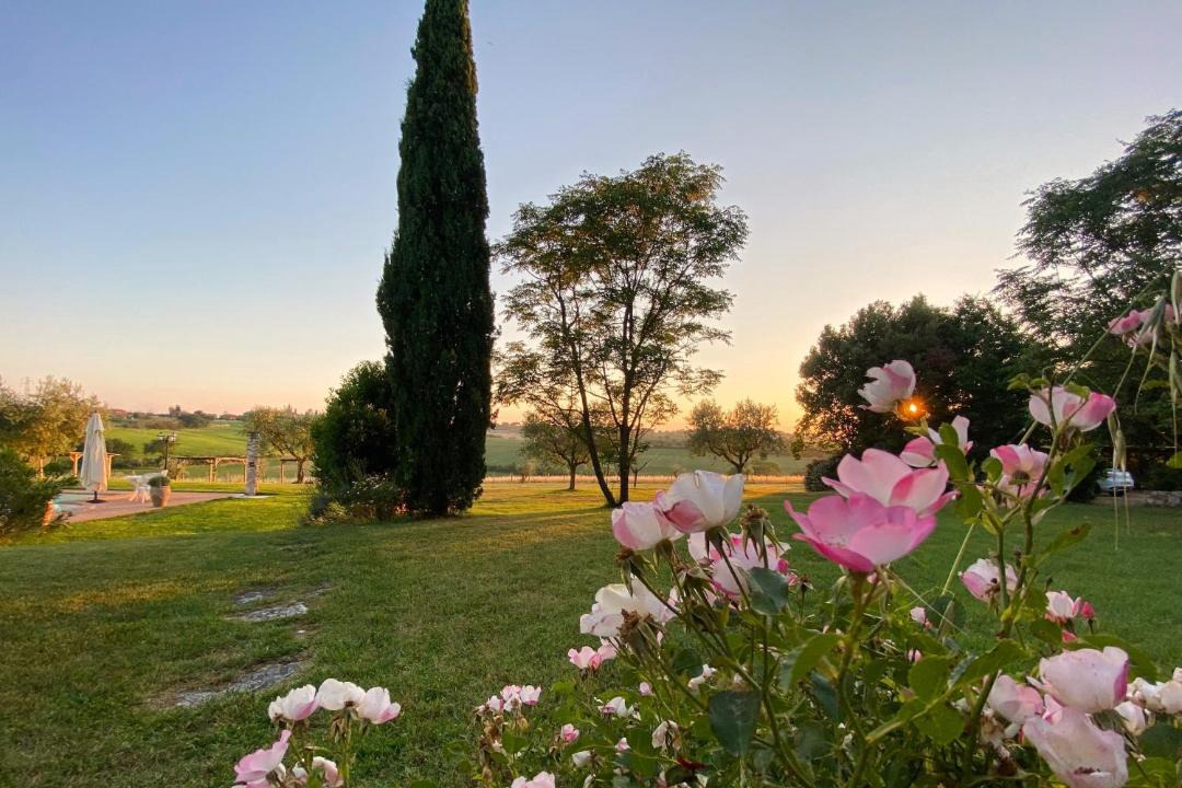 Photo of Others in Castiglione del Lago