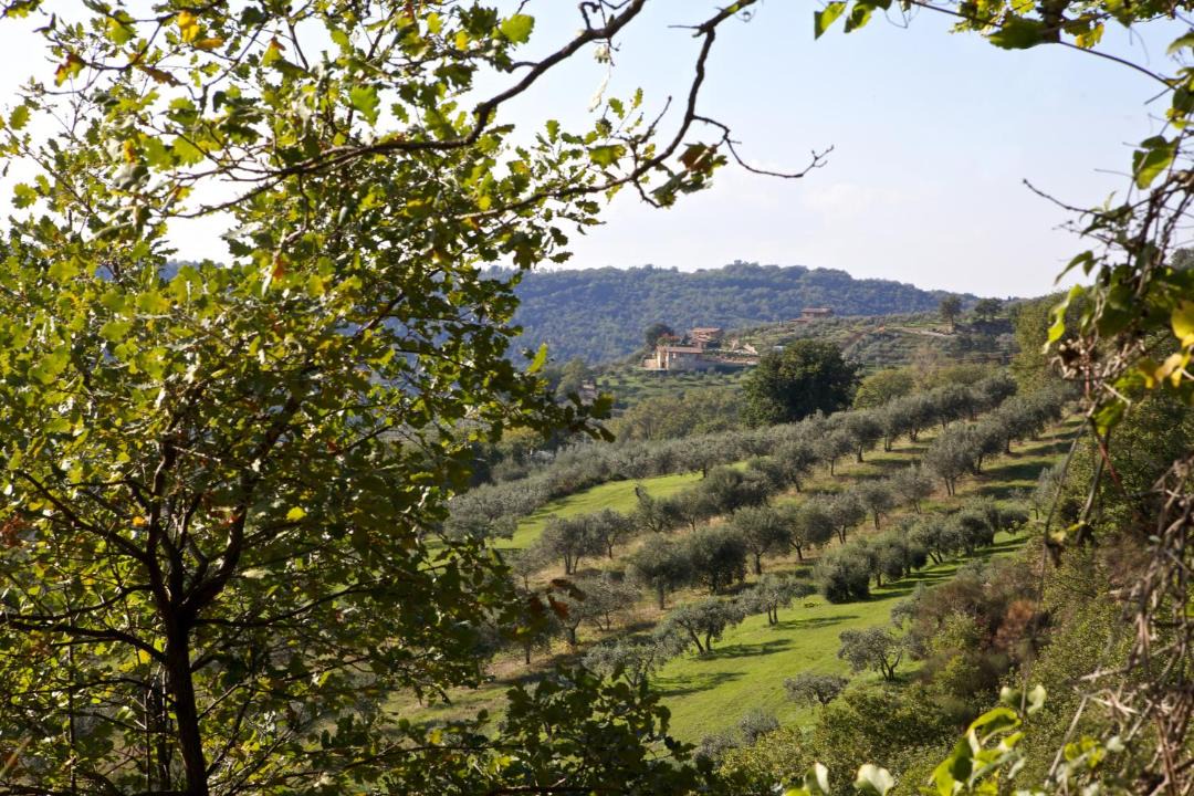Photo of Others in Gualdo Cattaneo
