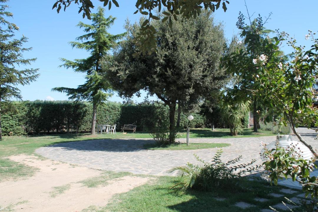 Photo of Others in Viterbo