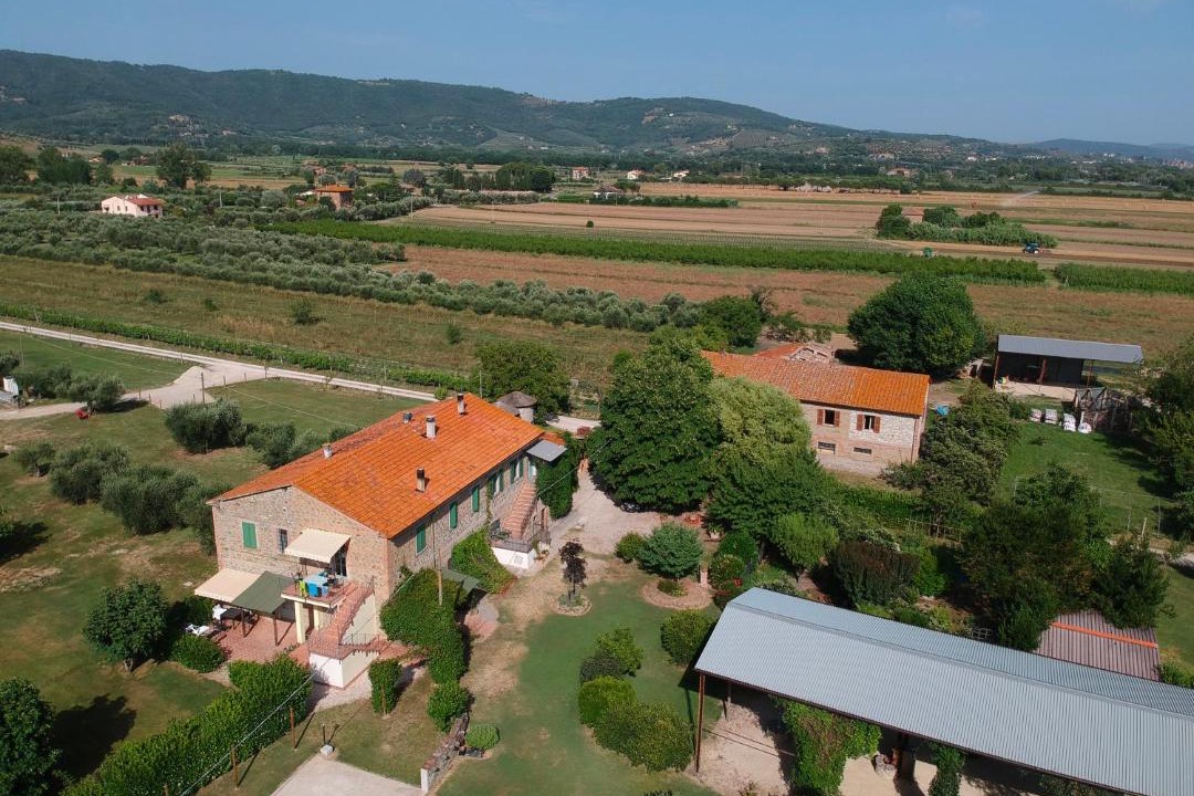 Photo of Others in Tuoro sul Trasimeno