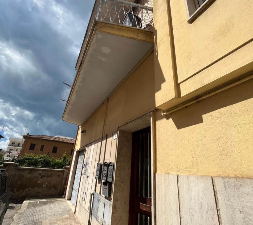 Photo of Others in Nettuno