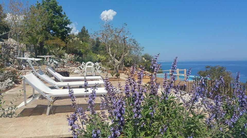 Photo of Others in Marina Serra