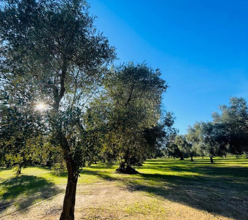 Photo of Others in Villa Castelli