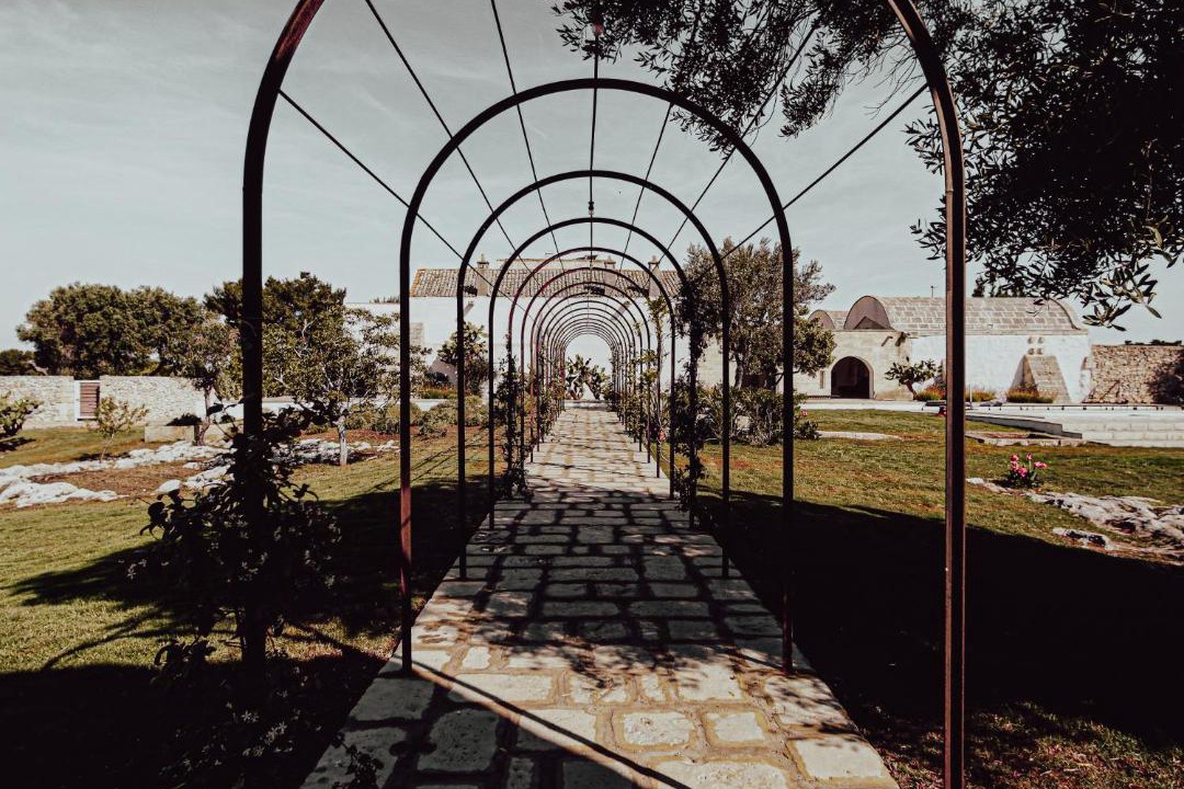 Photo of Others in Giorgilorio