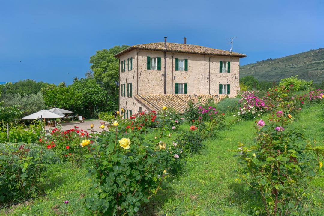 Photo of Others in Spello