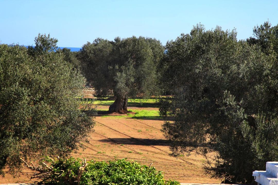 Photo of Others in L'Assunta