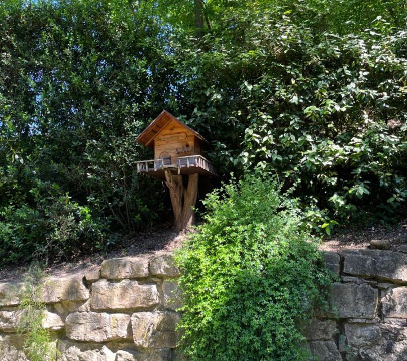 Photo of Others in Collepepe