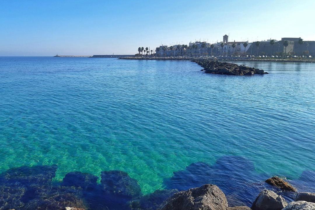Photo of Others in Mola di Bari