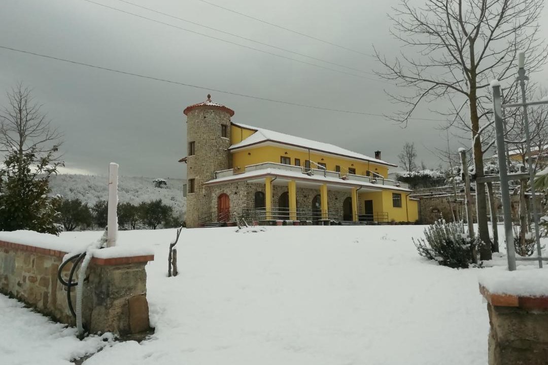 Photo of Others in Perdifumo