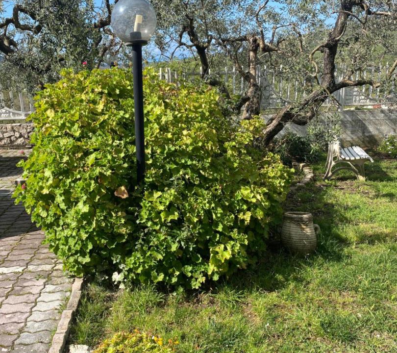 Photo of Others in Spigno Saturnia